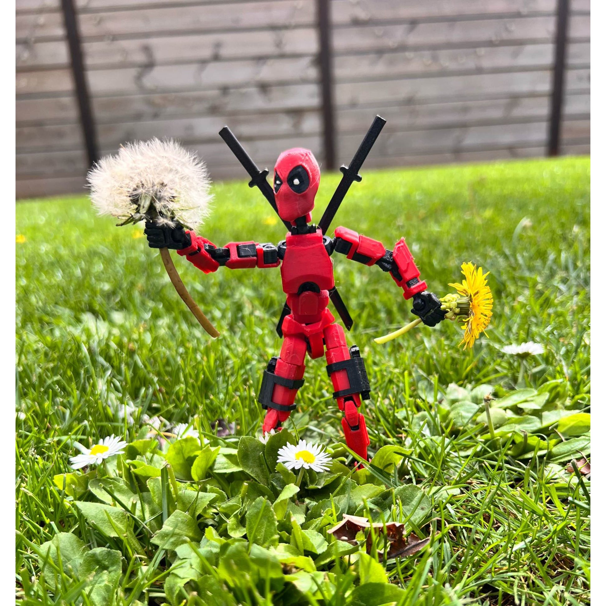 f642467a0a77fd350b70b4af9682533b